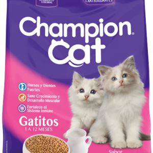 CHAMPION CAT GATITO 20  KILOS