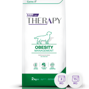 THERAPY OBESITY
